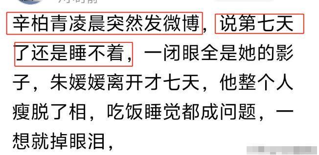 心的事情还是发生了网友评价太恶心pg电子入口辛柏青沉默8天后担(图3)