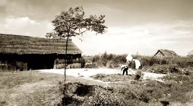 了一勺盐浙江父子却靠它撑起一个千亿帝国pg电子免费模拟器花2000元冤枉钱买(图18) 了一勺盐浙江父子却靠它撑起一个千亿帝国pg电子免费模拟器花2000元冤枉钱买(图18)